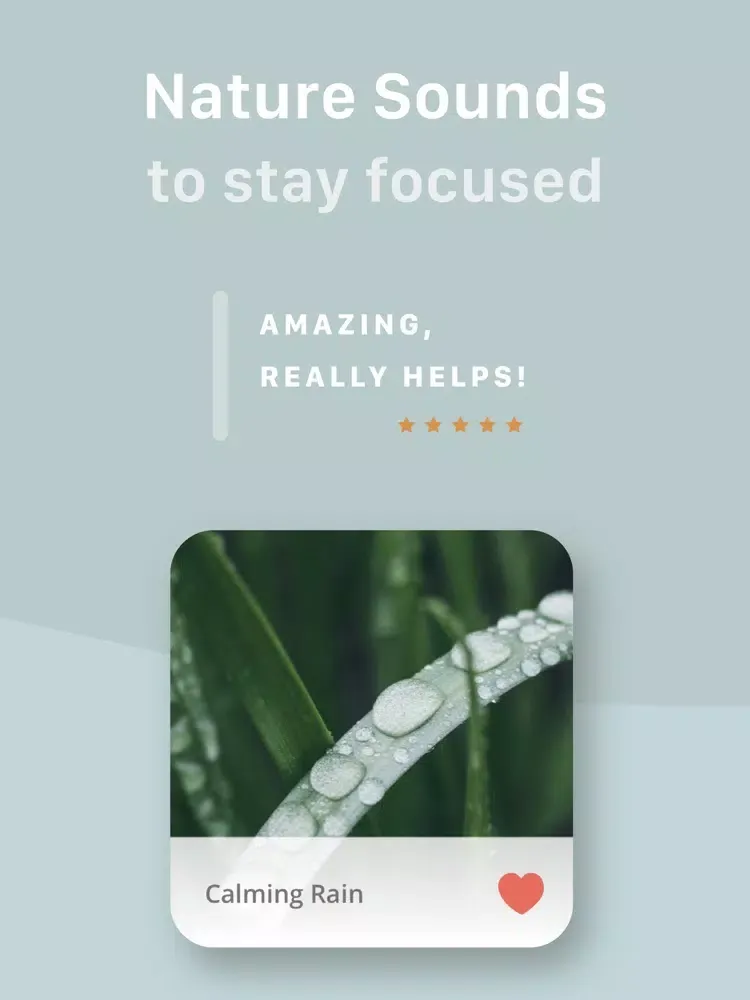 Flip: Focus Timer for Pomodoro iPad  Screenshots