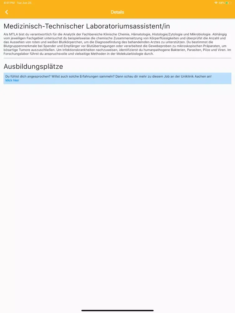 Скриншоты beeAzubi iPad 