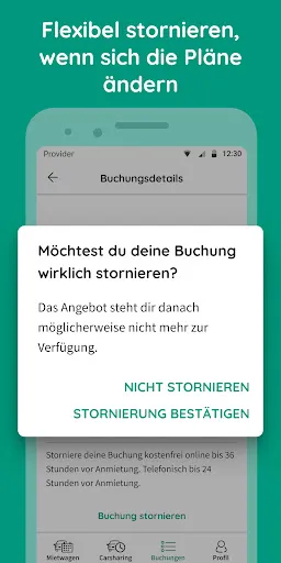 billiger-mietwagen.de应用截图