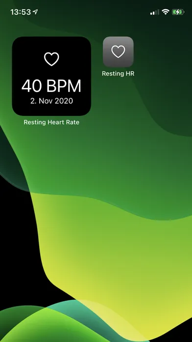 Screenshot di Resting Heart Rate Pro