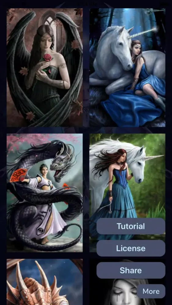 Anne Stokes Wallpapers应用截图