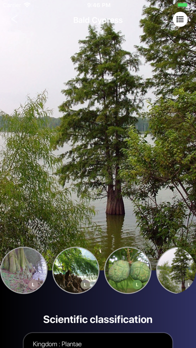 Conifers應用截圖