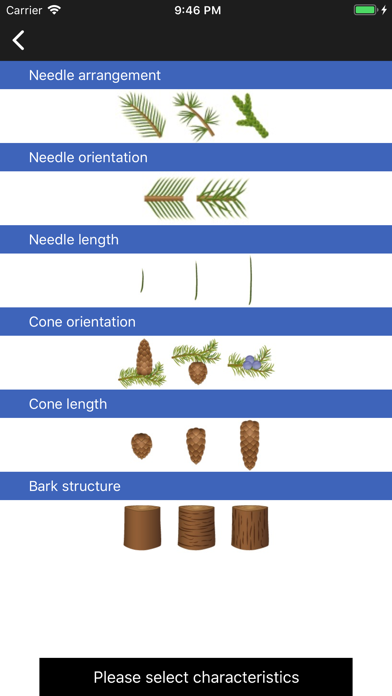 Conifers應用截圖