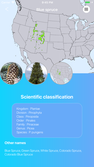 Conifers應用截圖