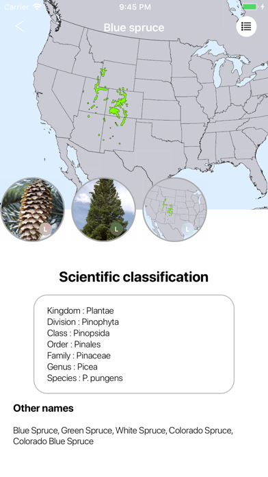 Conifers應用截圖