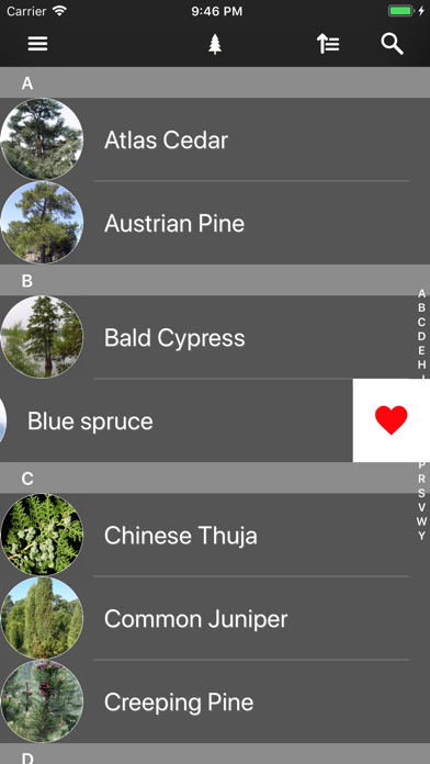 Conifers應用截圖