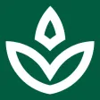 AOK PENELOPE