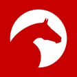 ClipMyHorse.TV & FEI.TV ClipMyHorse.TV & FEI.TV