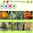 Plant Finder