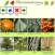 Plant Finder