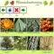 Plant Finder