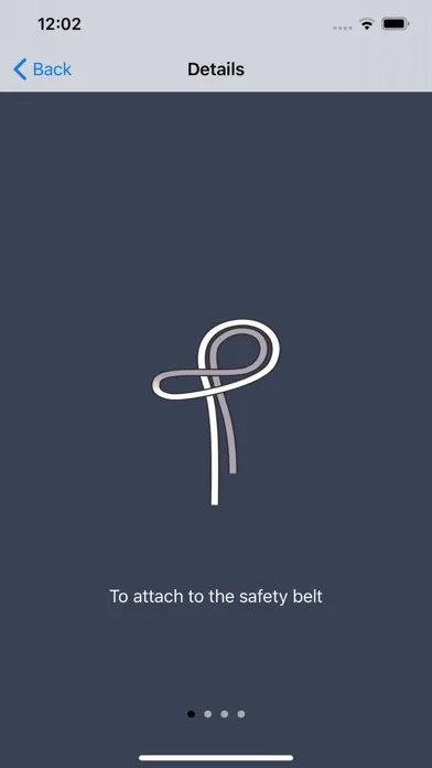 Fire Brigade Knots Premium应用截图