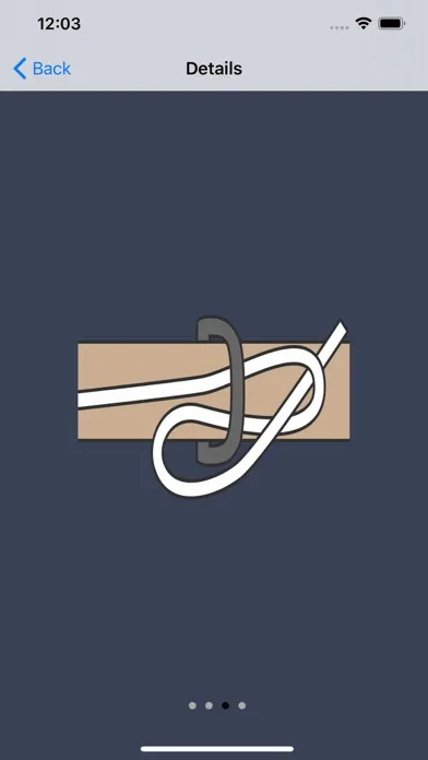Fire Brigade Knots Premium应用截图