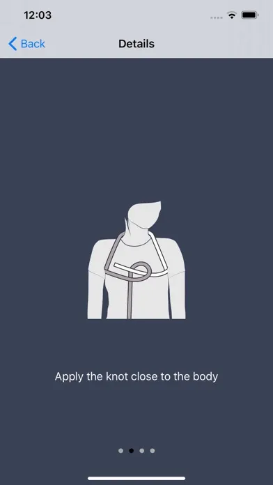 Fire Brigade Knots Premium应用截图
