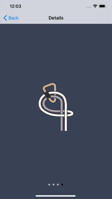 Fire Brigade Knots Premium应用截图