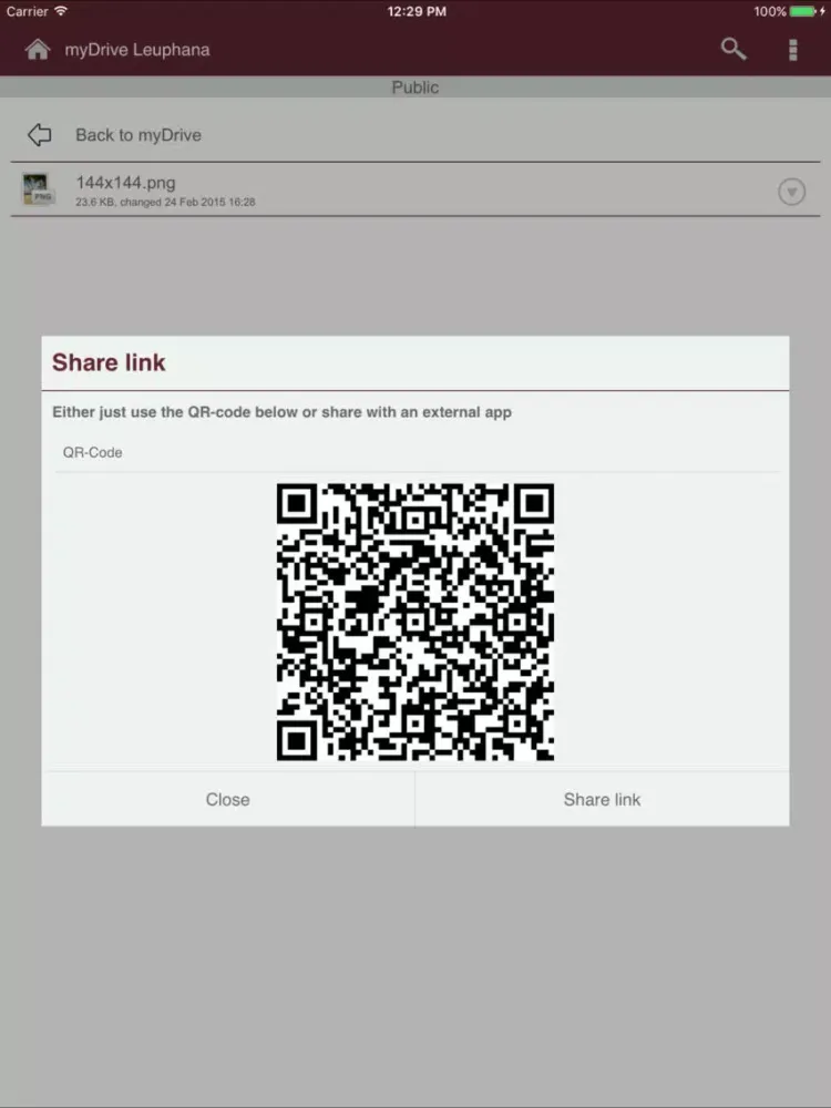 myDrive Leuphana iPad  スクリーンショット