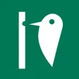 profil picus sh