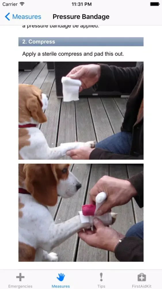 First Aid for Dogs Screenshots