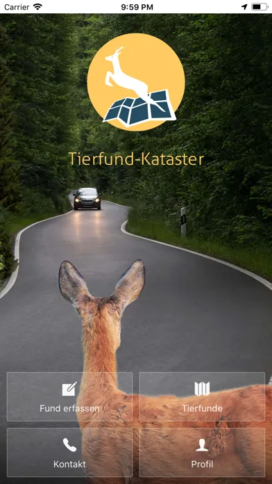 Скриншоты TFK