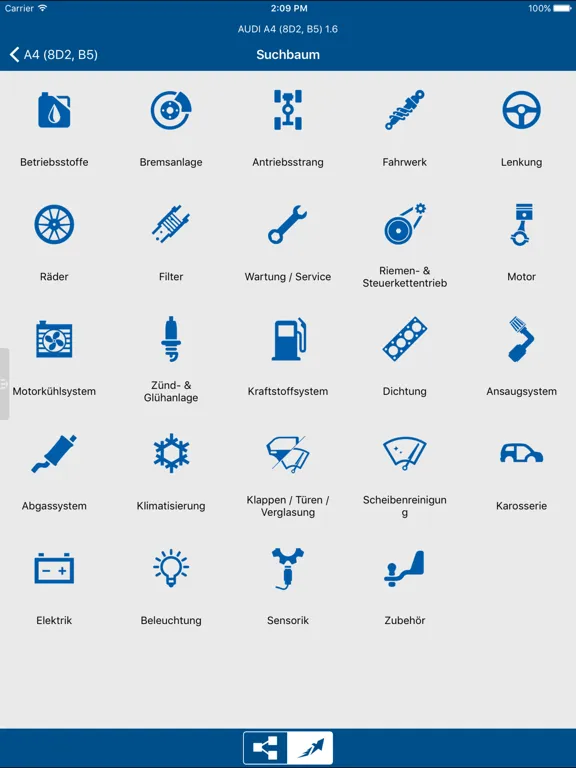 CARwis APP iPad  স্ক্রিনশট