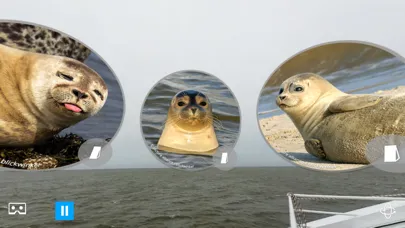 Capturas de pantalla de DW World Heritage 360
