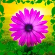 Affirmations - Daily Affirmations To Improve Your Life