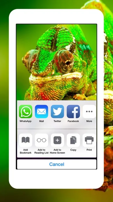 Tangkapan skrin Snakes, Spiders, Lizards and Reptiles - Animals Wallpapers