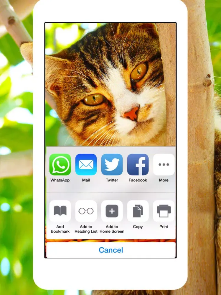 Cats & Kittens Wallpapers - Cute Animal Backgrounds and Cat Images iPad  Screenshots