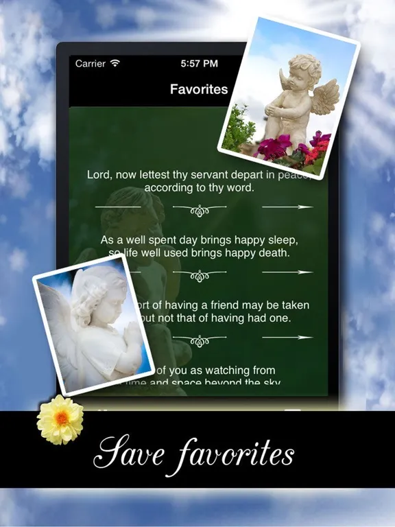 Captures d'écran de Grief & Loss - Quotes iPad 