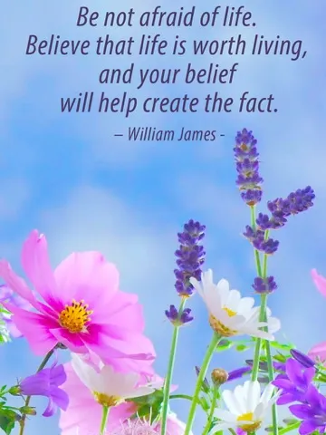 Скриншоты Wise Picture Quotes - Wallpapers with Life Lessons & Saying Images iPad 