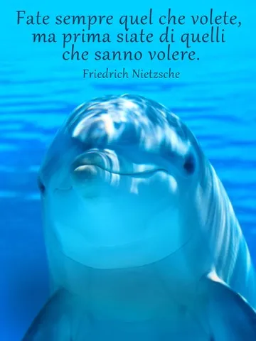 Capturas de tela do Frasi belle - Immagini con frasi sagge, aforismi e citazioni sulla vita iPad 