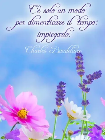 Capturas de tela do Frasi belle - Immagini con frasi sagge, aforismi e citazioni sulla vita iPad 