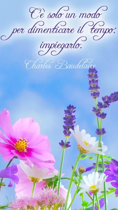 Capturas de tela do Frasi belle - Immagini con frasi sagge, aforismi e citazioni sulla vita