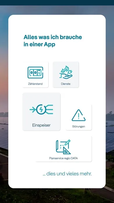 Ảnh chụp màn hình của naturenergie netze App