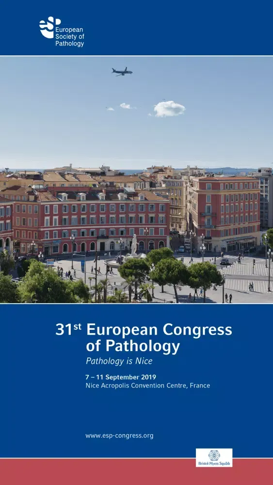 ECP 2019 Screenshots