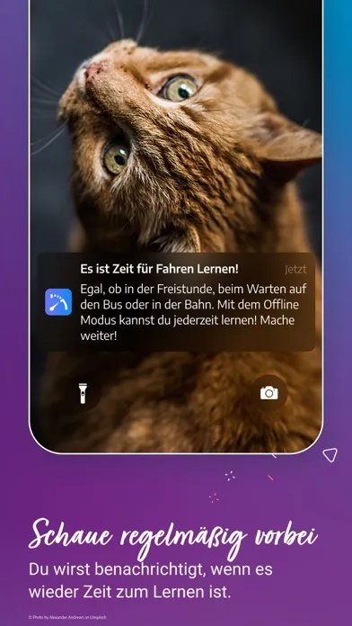 Fahren Lernen 2024 Screenshots