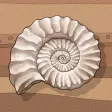 Fossil Discovery Fossil Discovery