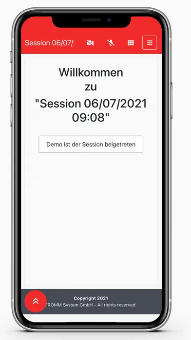 FROMM Visual Assistance Screenshots