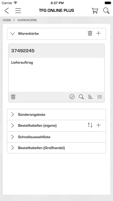 Screenshot di TFG