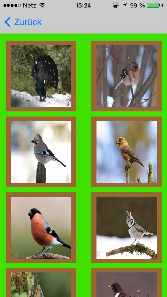 Скриншоты Vogelgesang im Oberbayer. Wald