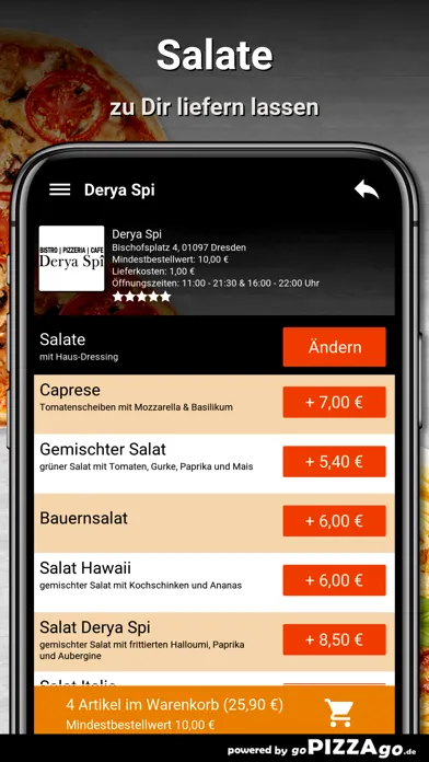 Captures d'écran de Derya Spi Dresden