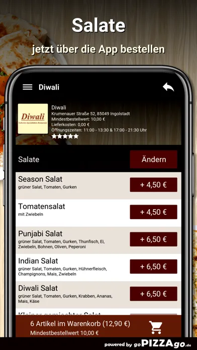 Diwali Ingolstadt Screenshots