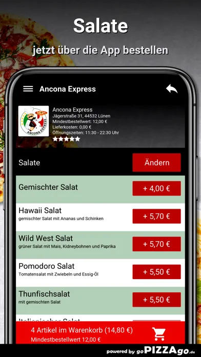 Tangkapan layar Ancona Express Lünen