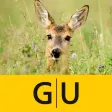 Tierspuren bestimmen – entdecken Sie die 100 wichtigsten heimischen Tierarten an ihren Spuren