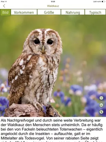 Tierspuren bestimmen – entdecken Sie die 100 wichtigsten heimischen Tierarten an ihren Spuren iPad  स्क्रीनशॉट