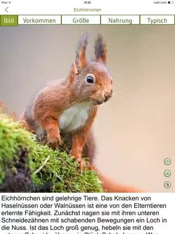 Tierspuren bestimmen – entdecken Sie die 100 wichtigsten heimischen Tierarten an ihren Spuren iPad  स्क्रीनशॉट