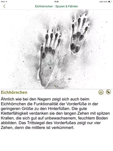 Tierspuren bestimmen – entdecken Sie die 100 wichtigsten heimischen Tierarten an ihren Spuren iPad  स्क्रीनशॉट