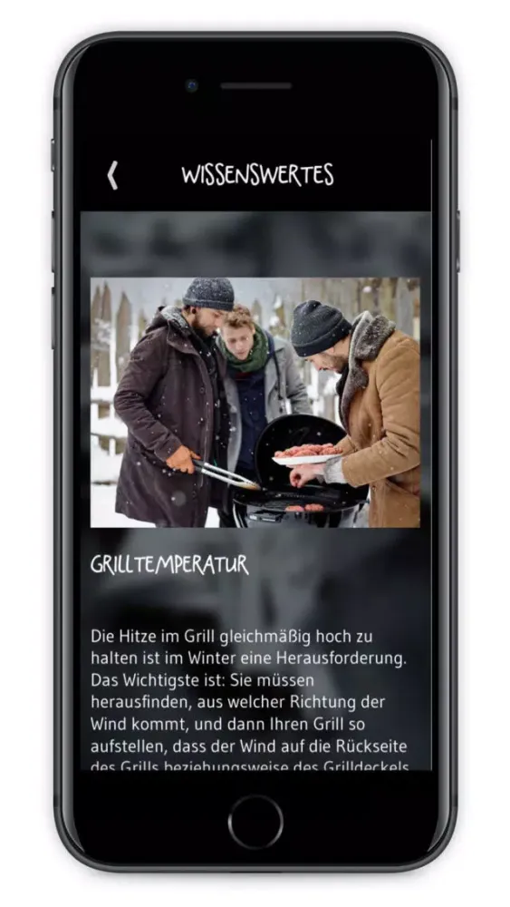 Скриншоты Weber's Wintergrillen