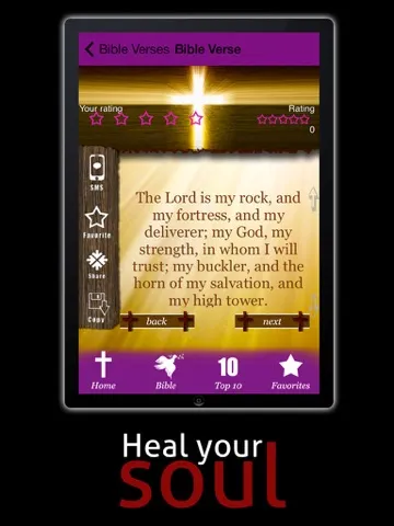 Capturas de tela do Bible For Men - Quotes and Verses for Everyday Life iPad 