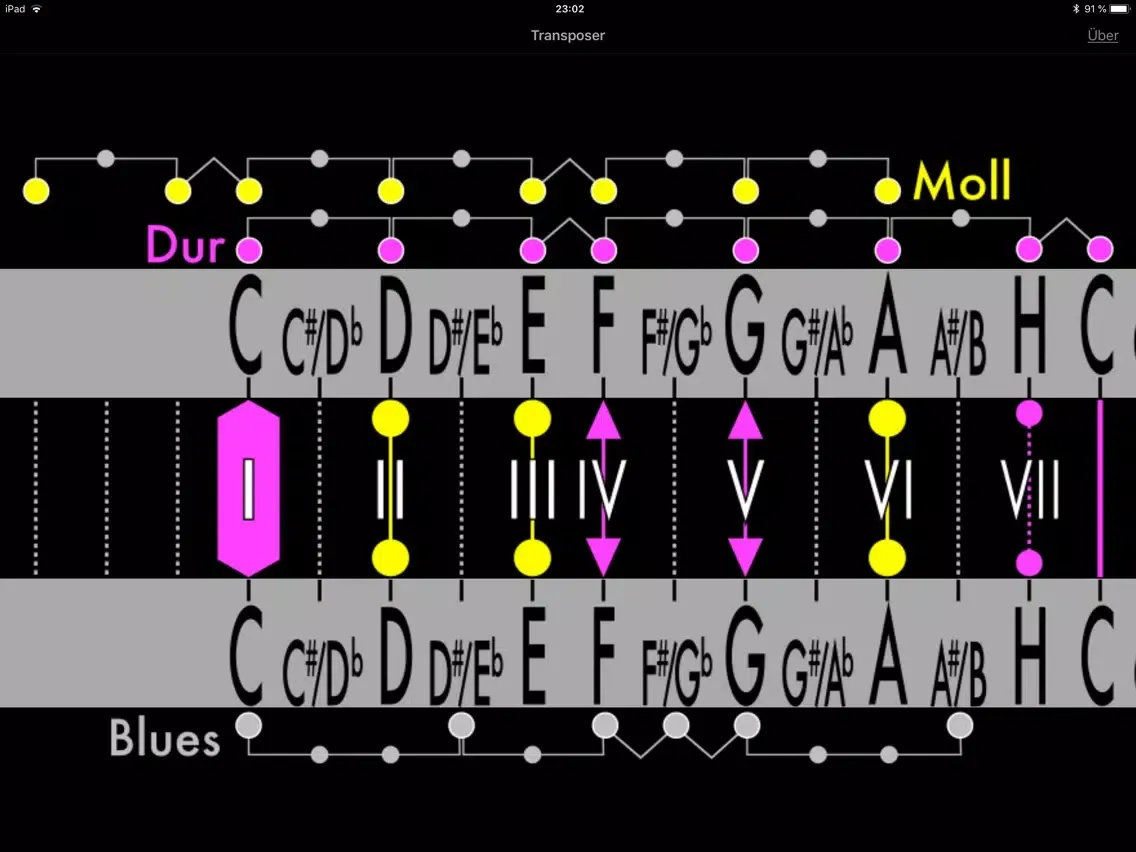 Screenshot di The Transposer iPad 